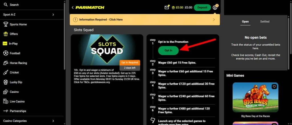 Select the Desired Promotion